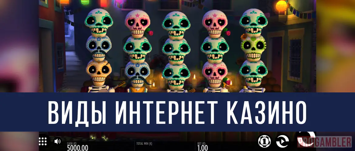 Виды онлайн казино